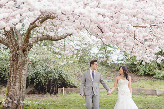 Best Location to take Cherry Blossoms Photos in GVR